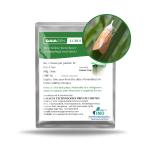 GAIAGEN Scirpo Lure - Pheromone Lure for Rice Yellow Stem Borer (Scirpophaga incertulas) | Pack of 10 | (Does not Include Traps)