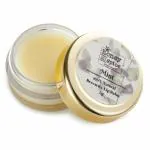 Honey and Spice Mint Lip Balm (BEESWAX BASED) 5GM