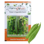Farmgokart |10 Gms RIDGE GOURD ( TORU , TORAI ) SEEDS |for Home Gardening , Farming , Hydroponics and Poly Houses|