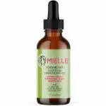 Mielle Natural Rosemary Hair Oil For Men & Women Promotes Hair Growth & Reduces Hair Fall 59 ML
