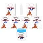 Hari Darshan White Chandan Tika Tika (Pack of 6, 40g Each Paste)