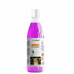 Econature Shampoo for Dog and Cats - Shampoo for All Dogs 330ML (Long-Coat)