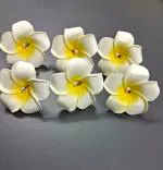 Bengcraft Fabric White Design Hair Pin For Haldi Caremoney For Women (Pack Of 6)