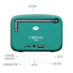 Saregama Carvaan Mini Hindi 2.0- Music Player with Bluetooth/FM/AM/AUX (Mint Green)