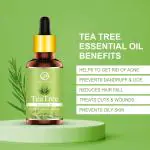 Nuerma Science Tree Tea Tree Oil for Skin, Hair and Acne Care 15 ml.