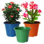 Kuber Industries Durable Plastic Flower Pot|Gamla for Indoor Home Decor & Outdoor Balcony,Garden,6