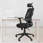 White Clouds Enterprise Spider High Back with Adjustable Head Ergonomic Office Chair (Black)