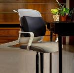 ALANFIT ORTHODESIGN Memory Foam Large Back Support Cushion for High Back Chair - Provides Complete Back Support, from Lower Back to Shoulders - Relieves Back Pain & Reduces Spine Pressure - Ideal Back Rest Cushion for Office/Computer Chair - AF-LS-30