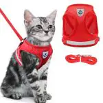 QpetsCat Harness for Small Dogs, Adjustable Cat Belt with Safety Reflective Strip, Breathable Mesh Fabric Cat Accessories, Cat Vest Harness with Cat Leash (Red, Suitable for 1-2.5 kg)
