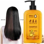 SOMWRITA Yellow Ginger Hair Growth & Healthy Hair Shampoo | Ginger Anti-Dandruff Shampoo For Healthy Scalp & Hair | Damage Repairs | Ginger Shampoo for Men & Women - pack of 1 [250ml].