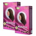 Meghdoot Herbal Powder Made with 100% Natural Herbs for Dandruff and Oily Scalp Cleaning | Amla Reetha Shikakai Powder for Hair| Dry Hair Wash Powder Sulphate and Paraben Free Pack of 2 (200gmx2)