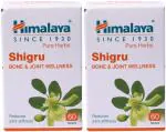 Himalaya Shigru for Bone & Joint Wellness (2 Packs, 60 Tablets in Each Pack)