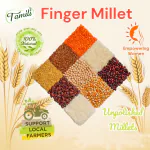 Tamili Finger Millet 400gm (Unpolished | Organic | Nature Grains)