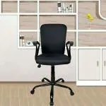 Newturn Zebra Low back Revolving Office Chair Premium Cushion Black