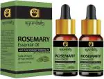 Ayurdaily Rosemary Essential Oil And Undiluted Revitalizer, 30 Ml (Pack Of 2)