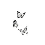 SIMPLY INKED New Mini Butterflies Temporary Tattoo, Designer Tattoo for all (New Mini Butterflies)