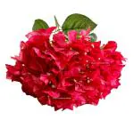 SPHINX Artificial Bougainvillea 5 Heads Bunch Without Vase for Home Decor,Centerpieces, Christmas Decorations, Welcome Reception, Dinner Table décor Approx Height 50 cms- (1 Piece, Red)