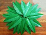 SPHINX Plastic Re-usable Artificial Mango Leaves (Aam Patta) for Decorations, Crafts, Garlands Making (Height Approx.17 cm)- No. of Pieces (5)