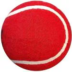KRUM Kids, Adult Rubber Tennis Ball, Cricket Ball Red Pack Of 6