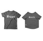 Ruse Aqua Green Cotton Basic Crew Neck Desi Babe Printed Half Sleeves T-Shirt For Dogs - L (Chubby Pugs, Beagle)