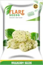 Flare Seeds Mulberry Seed 100 Per Packet