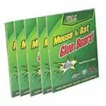 MAPPERZ Rat Trap/Mouse Trap Rat Pads Glue pad Rat Catcher for Home/Office,22x 5.5x0.5cm(Pack of 5)