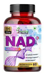 Humming Herbs NAD+ 600mg - Advanced Cellular Health & DNA Repair Formula - Energy and Metabolism Boost with Resveratrol and Polygnum Cuspidatum for Longevity and Vitality - 60 Capsules