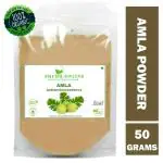 Shudh Online Amla Powder (50g) for Hair Growth, Drink, Eating and Face, Amala Powered Edible, Nellikai, Aawla, Aamla, Amloki, Usirikaya, Gooseberry