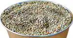 Kuppy Premium Pearl Millet (Bajra) Select, Bird Food For Canaries, Budgies, Lovebirds, 0.25 Kg Dry Adult, New Born, Senior, Young Bird Food