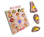 Grest Big Wooden Human Body Parts Puzzle with Knobs, Educational and Learning Game For Kids