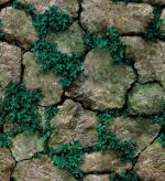 JAAMSO ROYALS Brick Stone with Green Grass Design Waterproof self Adhesive Vinyl Home Decor Wallpaper ( 500 cm X 45 cm )
