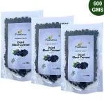 Farmbean Dried Seedless Black Currant 600Gms(pack of 3)|Black Grapes| Healthy Whole Dry Black Currant Candy | Black Rasins| Healthy & Tasty No Preservatives 100% Natural| High in Anti-Oxidants | Non-GMO Black Currants