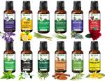 Zazla Essential Oil Pack of 12 (12ml)