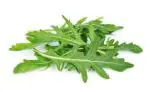 PARYAVARAAN Rocket Leaves Herbs Seeds (Pack of 50 Seeds) PARYAVARAAN