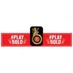 Festiko Team RCB Headbands (Set of 10 Pcs), Ipl Theme Headbands, Cricket Party Props, Ipl party supplies, Ipl Party Wearables