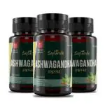 Saptarishi Ashwagandha Capsules: Pure Ashwagandha Root Extract with 1.5% Withanolides - Enhances Vitality, Supports Healthy Sleep, Increases Strength | 3 Packs (72 Capsules Each)