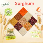 Tamili White Sorghum Millet 400gm (Unpolished | Organic | Nature Grains)