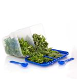 Metomec Blue Rectangle Plastic Kitchen Storage & Containers 2 Section Vegetable Box, Fridge Container, Spice Container Box, Spice Box, Spice Set (Blu