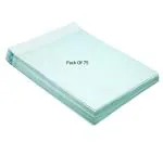 Shining Zon POLYNET ENVELOPE Super Adhesive Seal-Designed Paper Cloth Lined Green Envelopes Cover for Secure Mailing Size 10x12 Inches ( Pack Of 75)