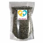 Pets Wizard Birds Food Sunflower Seeds