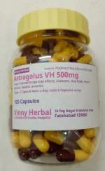 Astragalus DH Herbal Supplement Capsules 120 Caps Jar - DoctorKC Herbal