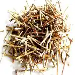 Xetomos Somlata Somalata Soma Asmania Ephedra gerardiana 150gm