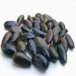 Nutrixia Custard Apple Seed-Annona Squamosa-Sitaphal-Sugar apple 100 Gms