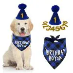 Qpets Dog Gifts For Birthday, Dogs Birthday Party Supplies Set, Dog Birthday Party Supplies, Male Dog Bandana Square Scarf And Cute Doggie Birthday Party Hat, Number Lable, Blue, Pack of 1