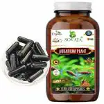 SOVATA: Aquarium Plant Fertilizer Capsules (51 no's), for Overall Healthy Growth of Aquarium Plants and Beneficial for Fishes, Tortoise and Water Creatures.