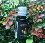 Happy Surroundings Prickly Pear Essential Oil (15 ml)