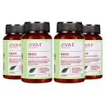 Jiva Neem Tablet 120 Tablet (Pack of 4)