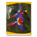 Youva Navneet| Soft Bound Notebook for Younger Students| Jumbo Size 18 cm x 24 cm| Three Line| 172 Pages| Pack of 12