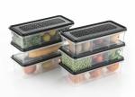 A4Four Fridge Storage Containers Organizer Set Storage Boxes for Fridge Plastic Refrigerator for Strawberry, Grapes, Vegetables (pack of 6)(Black)