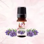 Pink Petal Rosemary Essential Oil Skin, Muscle & Joints, Anti-Dandruff, Hair Conditioner, Pure & Natural Therapeutic Grade - 100ml